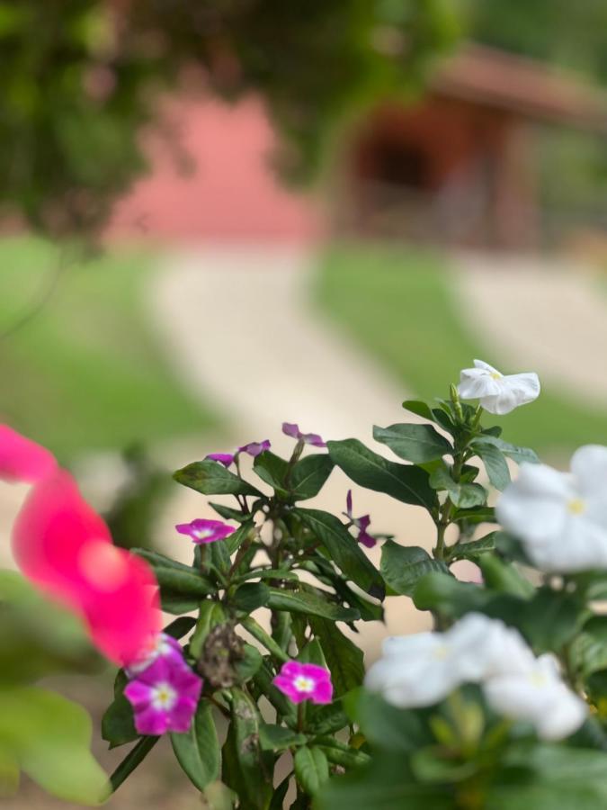 Recanto Da Roca Domingos Martins Buitenkant foto